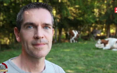 Le malheur est dans le pré