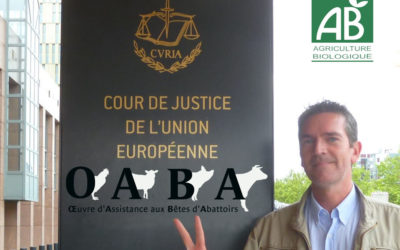 Affaire du “bio halal” : l’abattage des animaux sans étourdissement est incompatible avec le label BIO