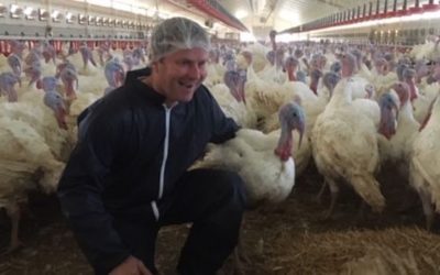 “Bien-être animal : les pratiques des éleveurs et des distributeurs ont-elles changé ?”