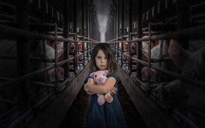 La fin des cages : Initiative Citoyenne Européenne (ICE)