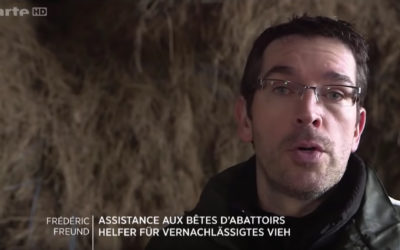 Éleveurs : le dernier tabou