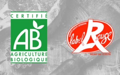 Écœurant : après l’interdiction en Bio, le label rouge accepte l’abattage sans étourdissement