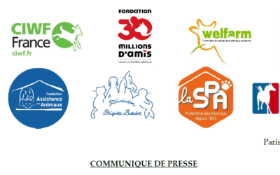 Bien-être animal : le ministre se moque des ONG et des Français