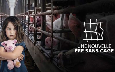 Événement : fin de l’ICE contre les cages