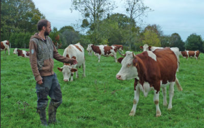 Avis du CESE sur le bien-être animal