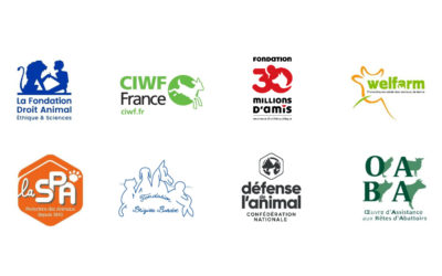 Recul sur les poules en cages