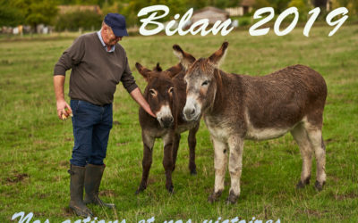 Bilan 2019 de l’OABA