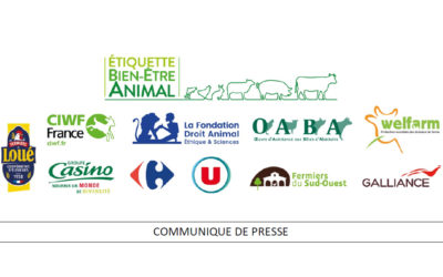 AVANCÉE : L’étiquetage bien-être animal se généralise en France