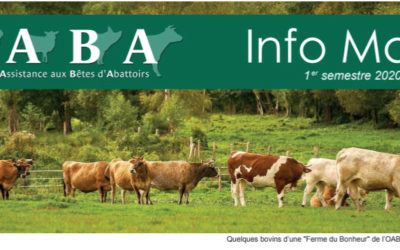 Info Mag – La revue de l’OABA du 1er semestre 2020