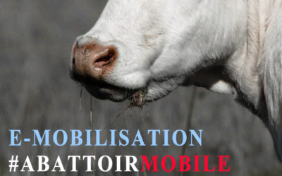 Abattoir mobile : passer du projet à la réalité ?