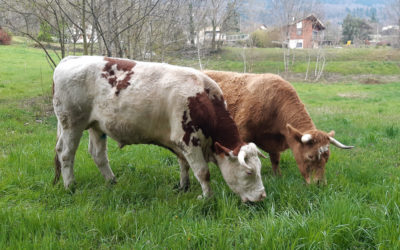 Covid19 – Confinement : l’OABA toujours mobilisée