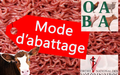 Étiquetage des modes d’abattage : l’Ordre des vétérinaires salue la démarche de l’OABA