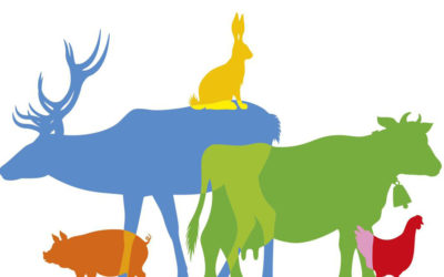 L’OABA rejoint le Référendum pour les Animaux