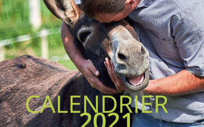 Commandez notre calendrier “Troupeau du Bonheur” 2021