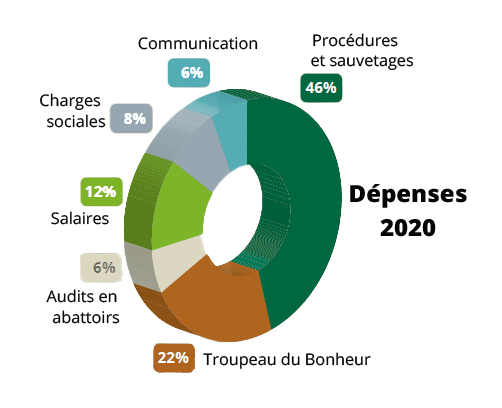 dépenses 2020 titre