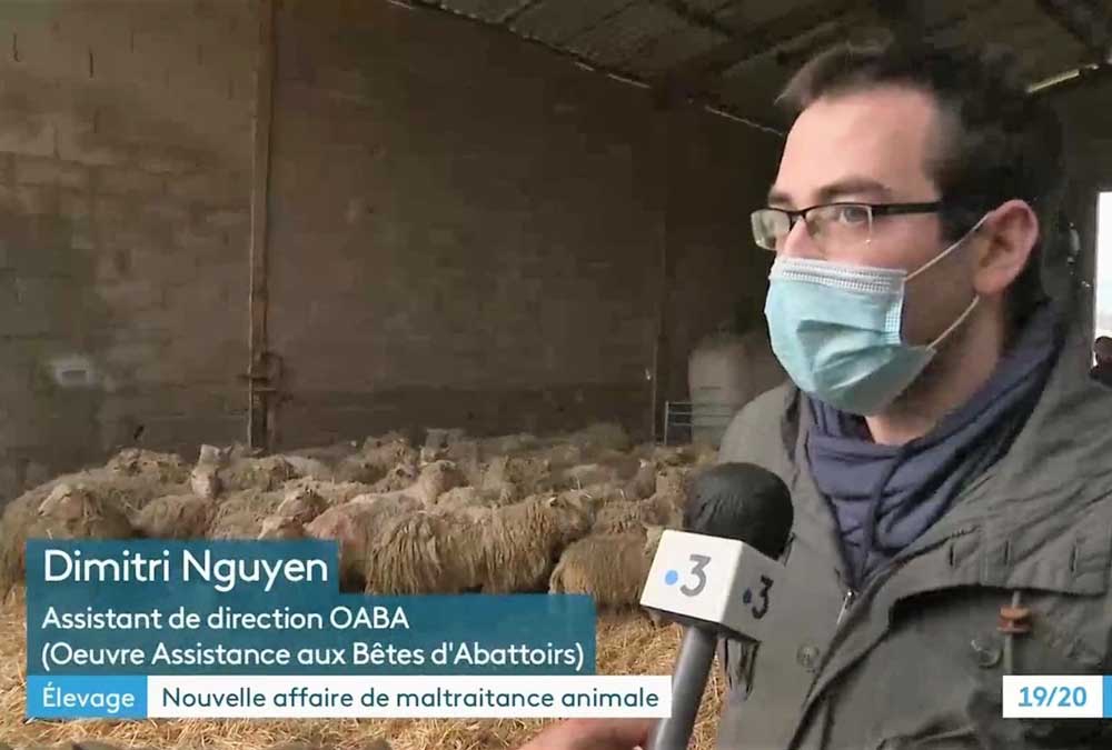 Maltraitance animale : cauchemar à la ferme