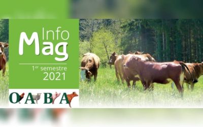 L’Info Mag est en ligne !