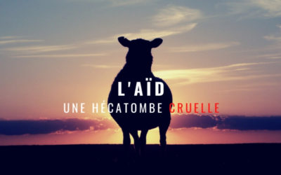 L’hécatombe cruelle de l’Aïd el kebir – Juillet 2021