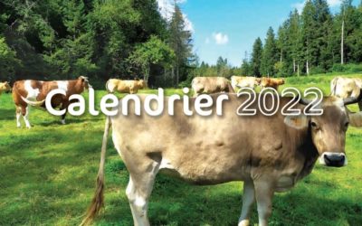 Calendrier 2022 du Troupeau du Bonheur : à offrir ou à s’offrir !