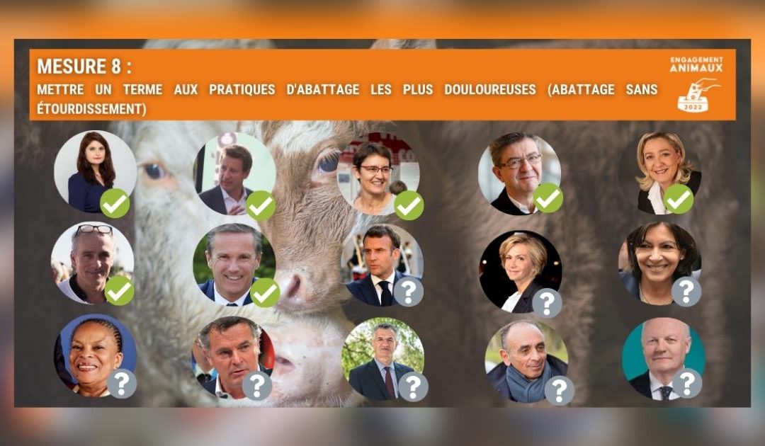 Salon de l’agriculture : les candidats à la présidentielle s’engagent-ils pour le bien-être animal ?