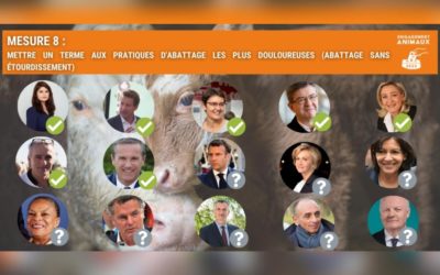 Salon de l’agriculture : les candidats à la présidentielle s’engagent-ils pour le bien-être animal ?