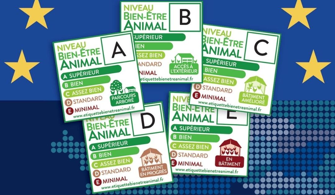 L’Étiquette Bien-Être Animal VS les attentes de l’Europe