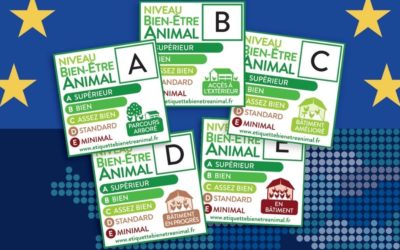 L’Étiquette Bien-Être Animal VS les attentes de l’Europe