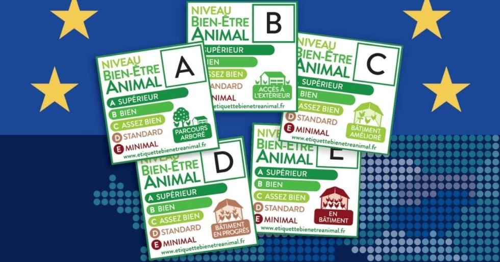 L tiquette Bien tre Animal VS Les Attentes De L Europe OABA l-tiquette-bien-tre-animal-vs-les-attentes-de-l-europe-oaba