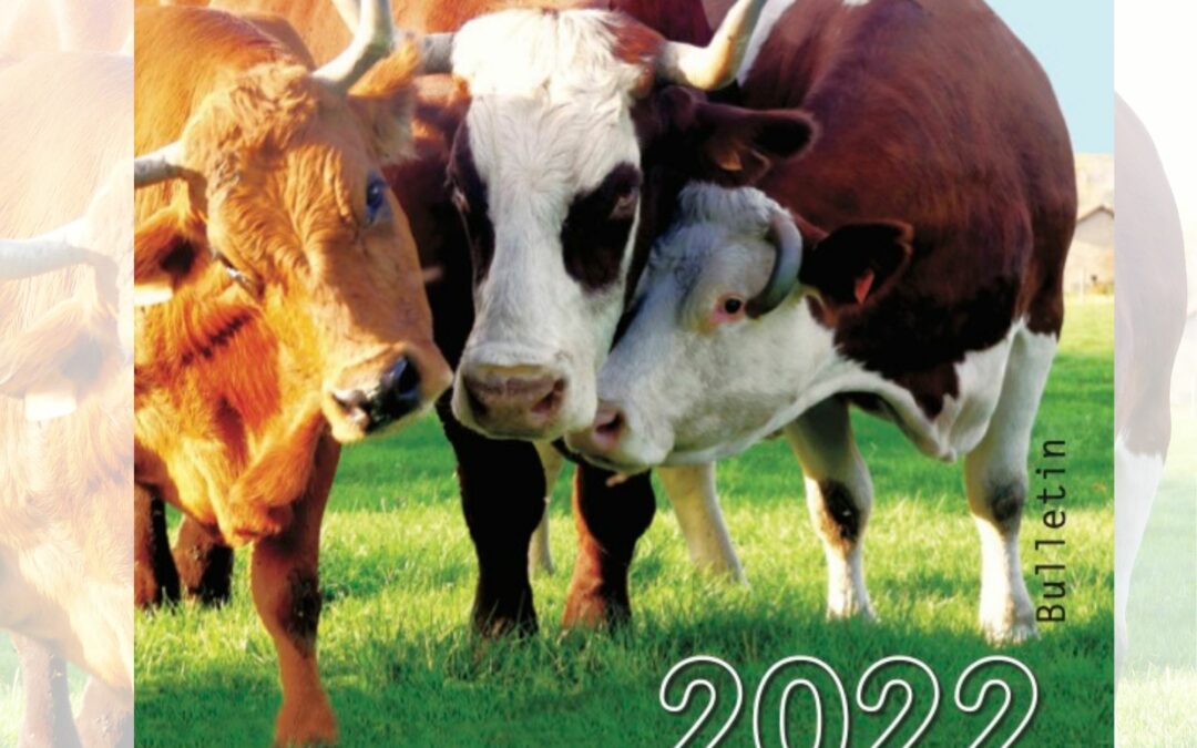 Rapport annuel : le Bulletin 2022 de l’OABA est en ligne !
