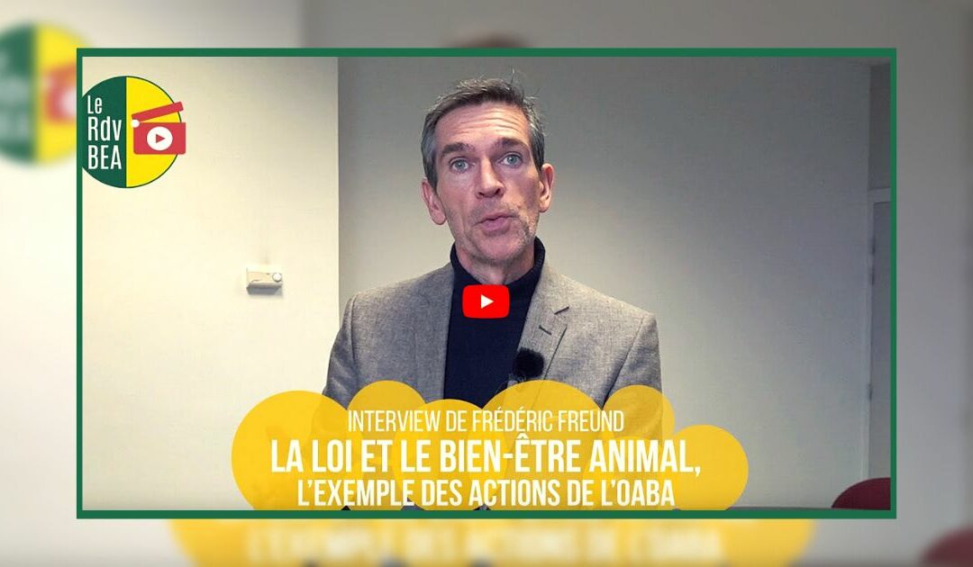 Interview – La loi et le bien-être animal
