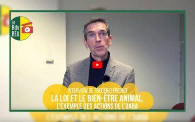 Interview – La loi et le bien-être animal