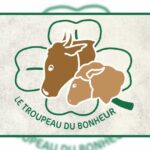 chaîne d'abattage de bovins