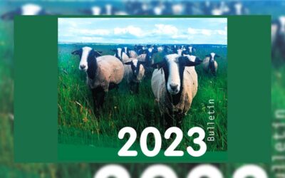 Rapport annuel : le Bulletin 2023 de l’OABA est en ligne !