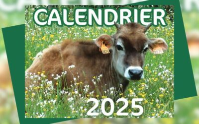 Calendrier 2025 : les précommandes sont ouvertes !