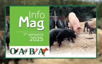 Le dernier Info Mag est en ligne