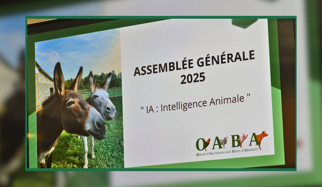Assemblée Générale consacrée aux Intelligences Animales