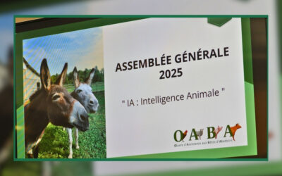 Assemblée Générale consacrée aux Intelligences Animales