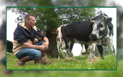 Maltraitance : une ferme sauve des animaux