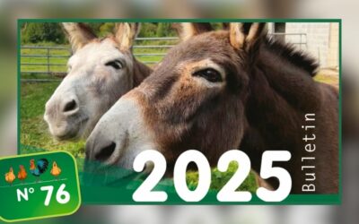 Rapport annuel : le Bulletin 2025 de l’OABA est en ligne !
