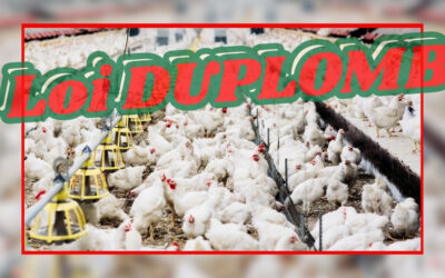 Loi Duplomb : exprimez-vous via cette consultation publique !