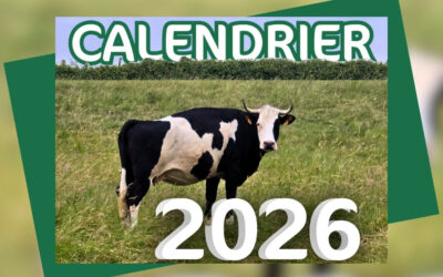 Calendrier 2026 : les précommandes sont ouvertes !