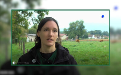 Portrait : Un agriculteur sauve les vaches de l’abattoir