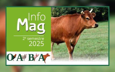 Le dernier Info Mag est en ligne