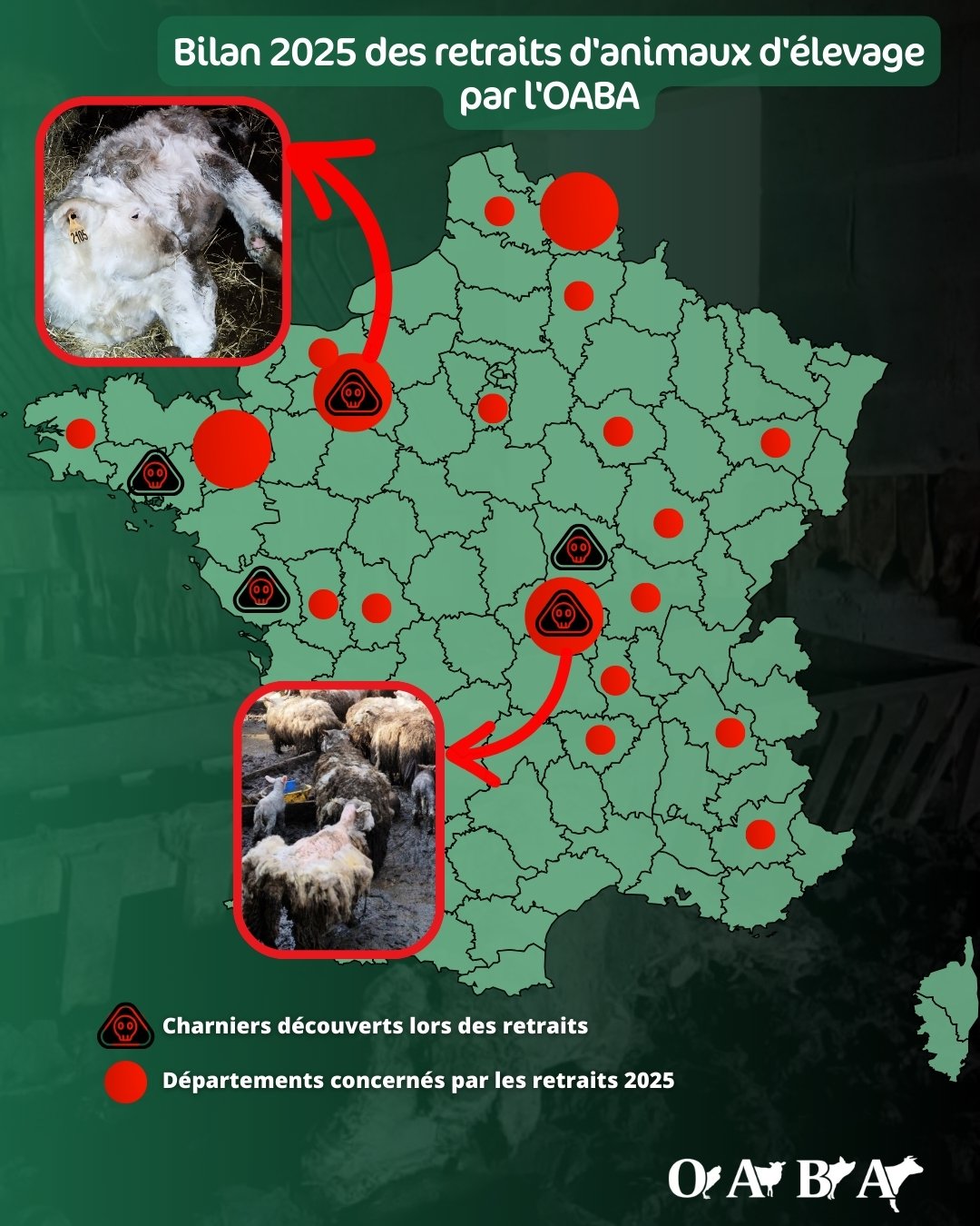 NL bilan retraits 2025