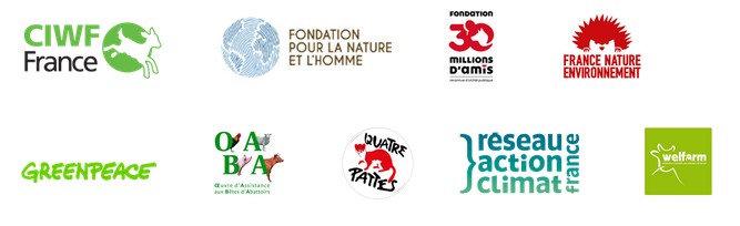 Capture d’écran 2026-02-04 150533