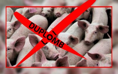 Débat sur la loi Duplomb : l’offensive pour l’industrialisation de l’élevage continue !