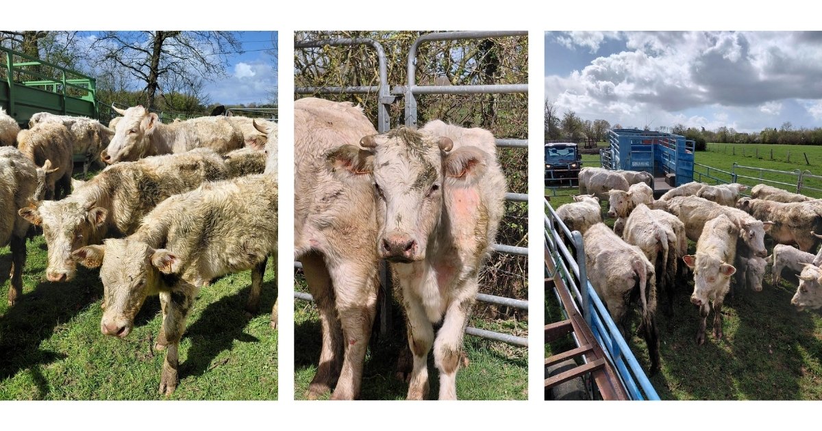 image pour partage lien oaba 1200630 (11)