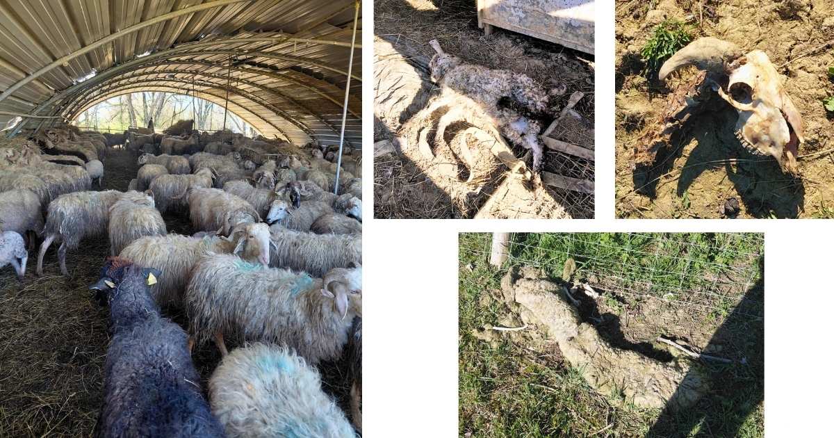 image pour partage lien oaba 1200630 (11)