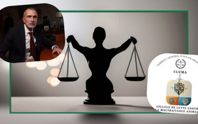 Prochain événement : l’Assemblée Générale 2026