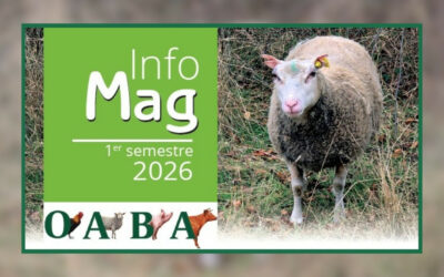 Le dernier Info Mag est en ligne